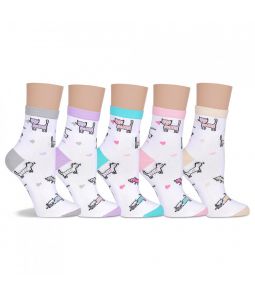 Д108 носки женские (набор 5 пар)