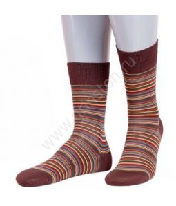 Носки мужские модные 16SC3