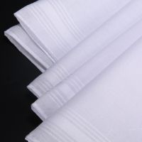 Мужские носовые платки белые 45480-(6 штук)