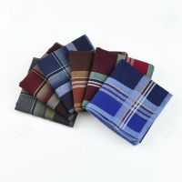 Мужские носовые платки 45430DF-(12 штук)